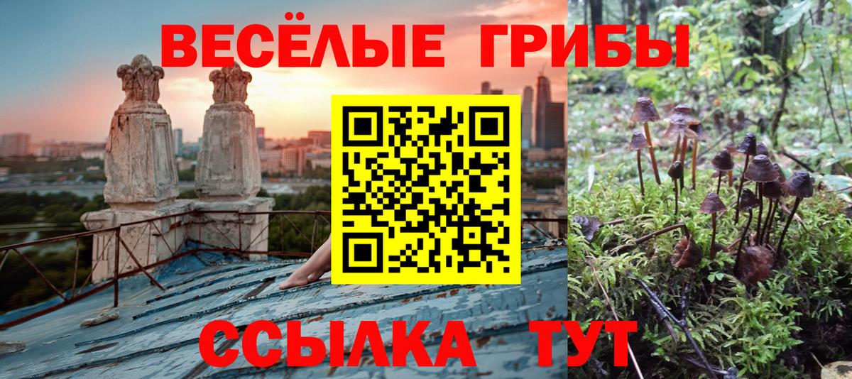 Воронеж  Галлюциногенные грибы Psilocybe  Вход с VPN 