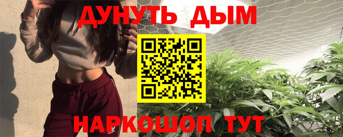 Канабис планчик Воронеж